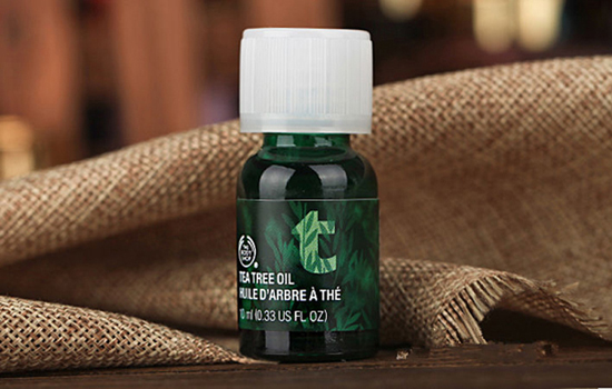 thebodyshop茶树精油怎么样 消肿祛痘控油效果良好