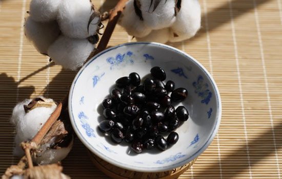 吃醋泡黑豆能减肥吗 醋泡黑豆减肥的正确做法与吃法