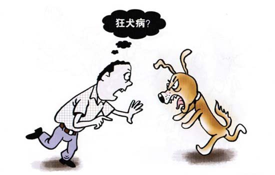 狂犬疫苗什么时候打有效 最好尽快及时注射