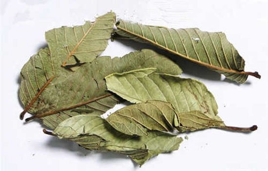 能降血糖的中药有哪些 血糖高不用愁