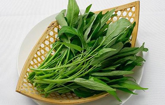 空心菜的功效 六大功效让你爱不释手