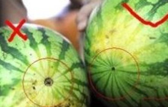 挑西瓜的技巧 夏季教你如何挑到好吃的西瓜