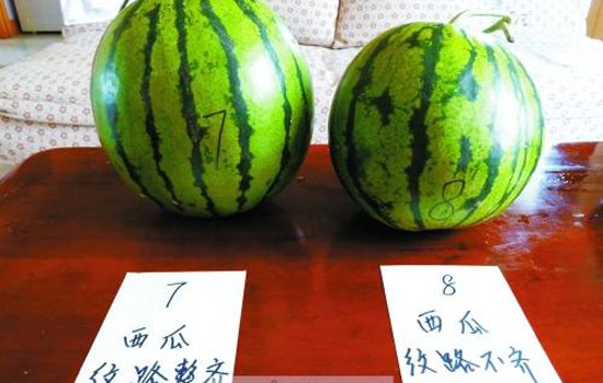 挑西瓜的技巧 夏季教你如何挑到好吃的西瓜