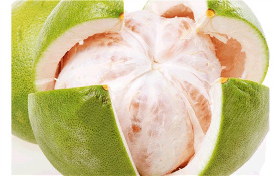 秋季想护肺这些食物必不可少