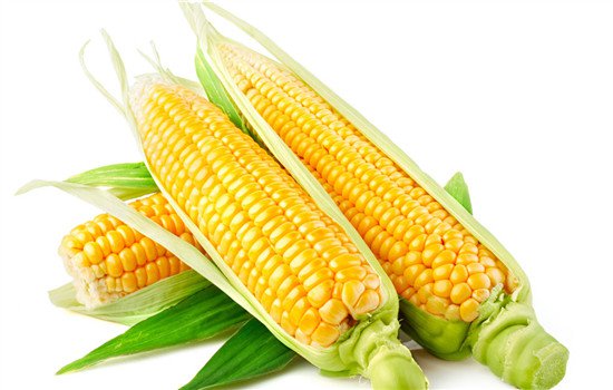 提高记忆力的食物 想要提高记忆力可以吃10种食物