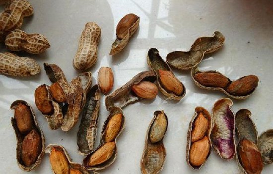 花生发霉了还能吃吗 不要以为洗掉霉斑或加热就能吃哦