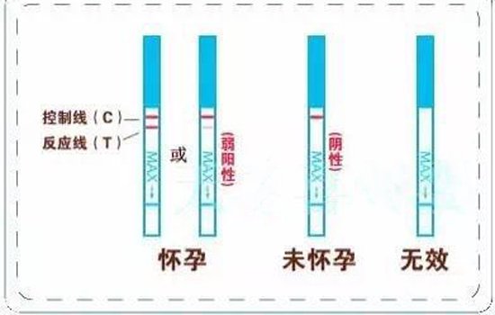 怎么知道自己怀孕了没有了