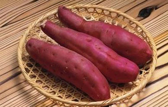 孕妇吃什么对胎儿大脑发育好