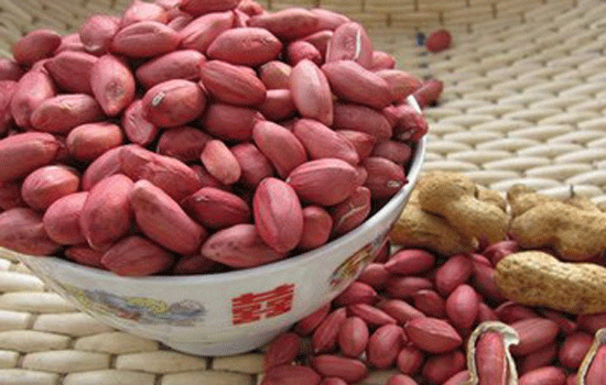 儿童血小板低吃什么补的快