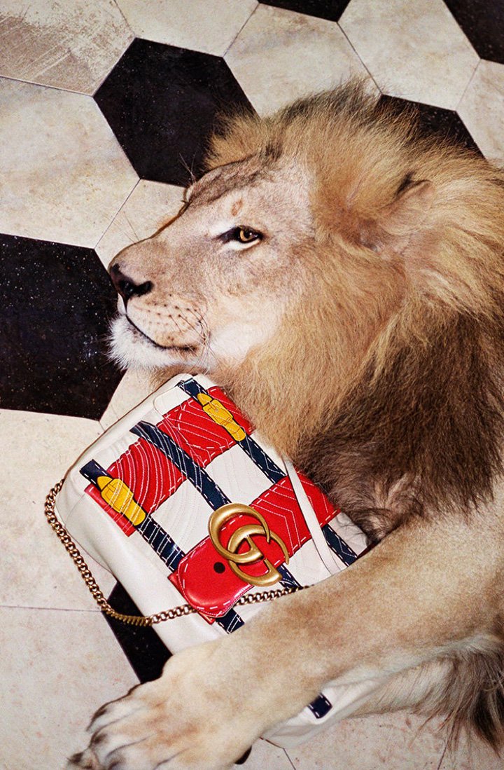 Gucci（古驰）2024春夏大片 罗马的狂野日夜