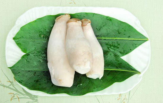 怎么挑选杏鲍菇 好吃又新鲜的杏鲍菇看这6点