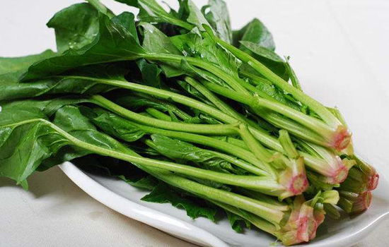 菠菜根能吃吗 吃菠菜时根千万别丢