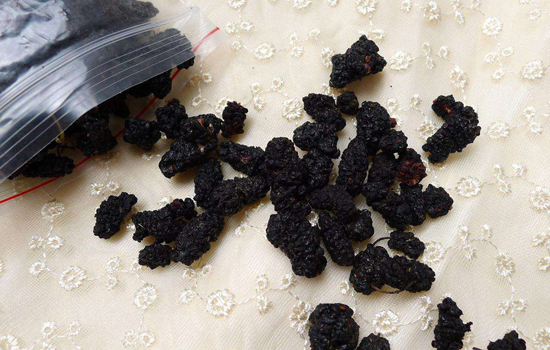 桑葚干的功效与作用 桑葚干泡水喝功效多多