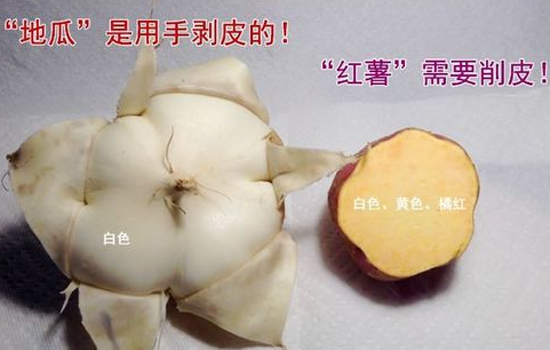 红薯和地瓜一样吗 别真的以为红薯就是地瓜