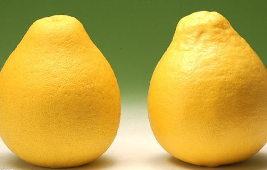 蒸柚子的功效与作用 6种水果蒸着吃功效翻倍