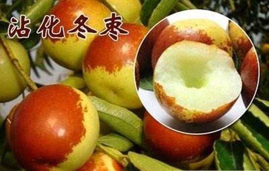 山东沾化冬枣好吃吗 沾化冬枣为什么好吃又贵