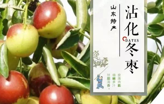 山东沾化冬枣好吃吗 沾化冬枣为什么好吃又贵