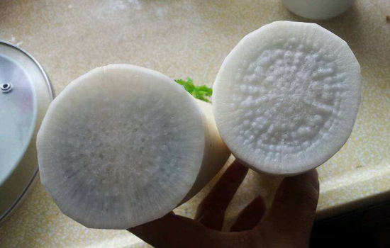 白萝卜发青还能吃吗 怎么挑选到优质白萝卜