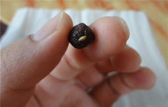 花椒贴肚脐的作用 花椒贴肚脐是没有火的脐灸