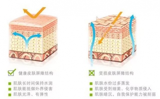 激素脸治疗 你真的清楚造成原因吗