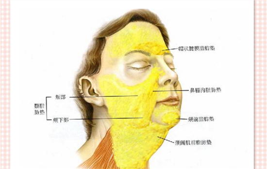 面部吸脂分几个部位 脸部抽脂手术全解析
