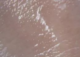 护肤保湿产品哪个好用  贼好用的冬季保湿产品
