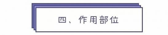 怎么变V字脸  变美变年轻变V脸的秘诀