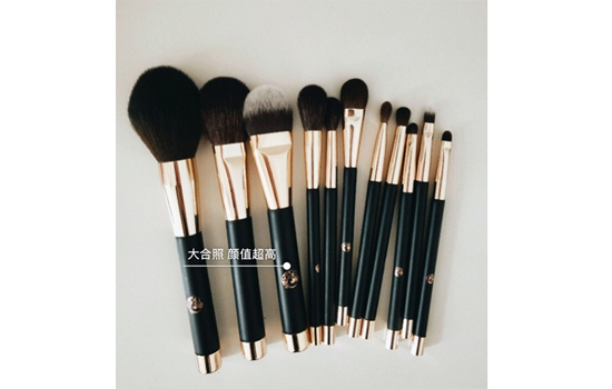 艾诺琪化妆刷怎么样 艾诺琪磁吸试化妆刷推荐