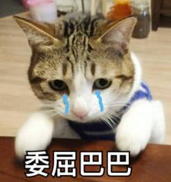祛痘方法有哪些   怎么祛脸上的痘痘