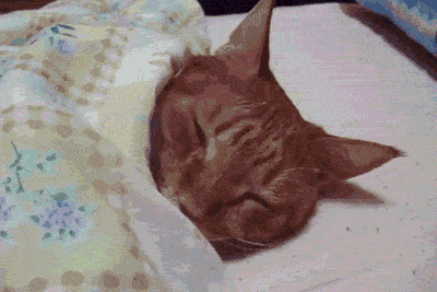 半永久纹眉  半永久纹唇