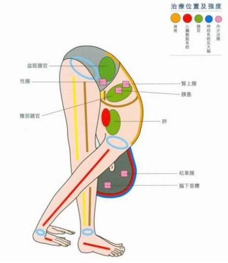 一个瑜伽动作瘦腰腹 懒女人也能轻松瘦身啦