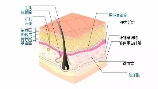 去角质的正确方法 关于去角质你想知道的都在这里