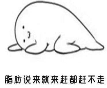 为什么我减肥减不下去 减肥必经的五个时期，你在哪个时期？