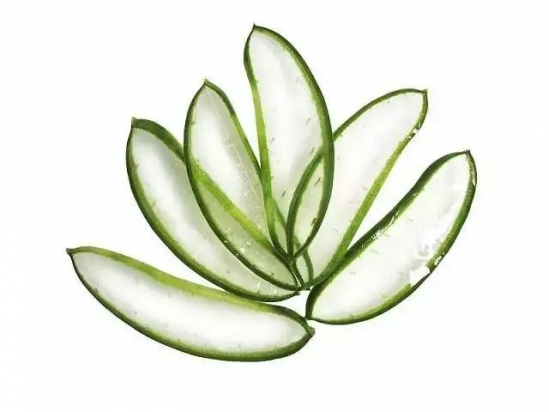 芦荟的功效 芦荟的功效及减肥食谱介绍