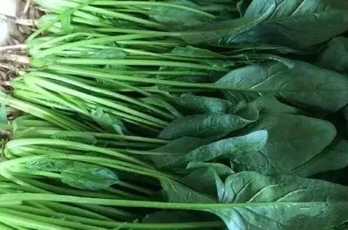 菠菜花生米的功效 菠菜加一物变成了钙片