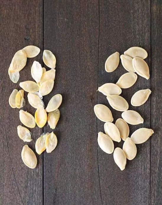 南瓜子的功效 南瓜子营养价值及美味食谱介绍