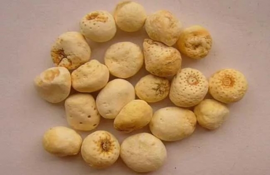 痰湿体质如何调理 痰湿体质饮食及中药调理方法