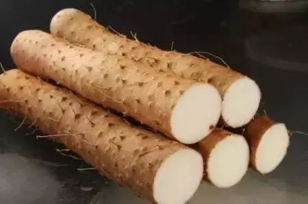 养生吃什么最好 平常多吃这些食物养生好