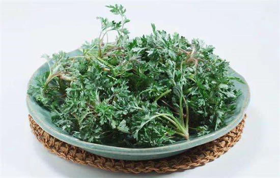 艾叶泡脚治感冒吗 艾叶性温可防治感冒