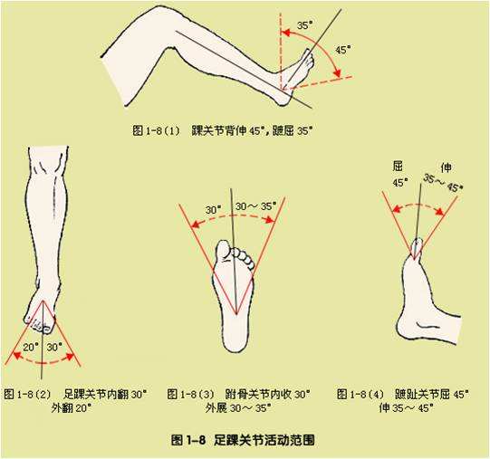 踝泵运动的意义及作用 踝泵运动重要性介绍