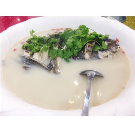 补脑鱼头汤的家常做法 鱼头汤食谱做法大全