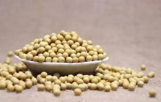 长寿必吃的食物 自带长寿基因的10种最佳食物