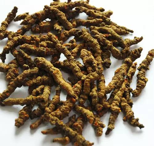 黄连的功效与作用 黄连是清热解毒的良药