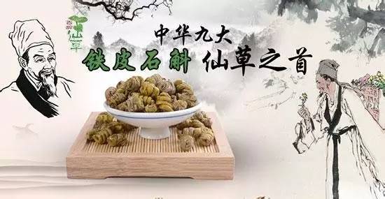 铁皮石斛药用价值 吃石斛可以预防9大疾病