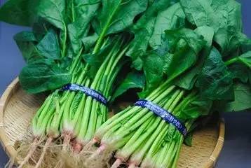 对眼睛好的食物 多吃这些食物保护眼睛好