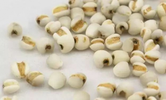 自制美容茶的方法 女人多喝这几款茶美容好