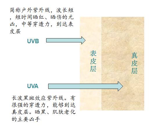 春季如何护肤 早春不防晒，永远别想白！