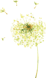 夏日防晒大推荐 你被种草了吗