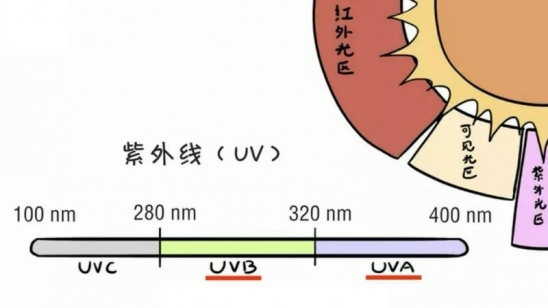 论防晒的重要性 关于防晒那点事