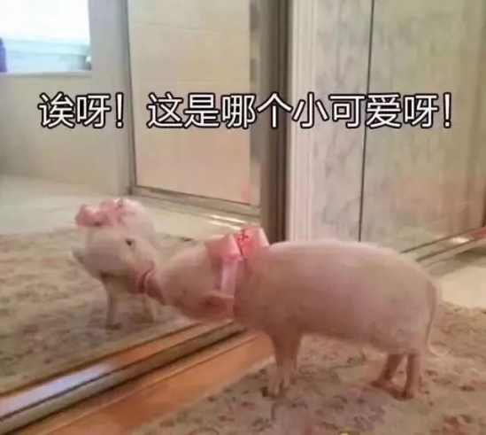 homefacialpro是什么牌子 国货护肤品的崛起